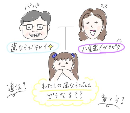 歯並びが悪くなるのはどうして 遺伝だから仕方ない