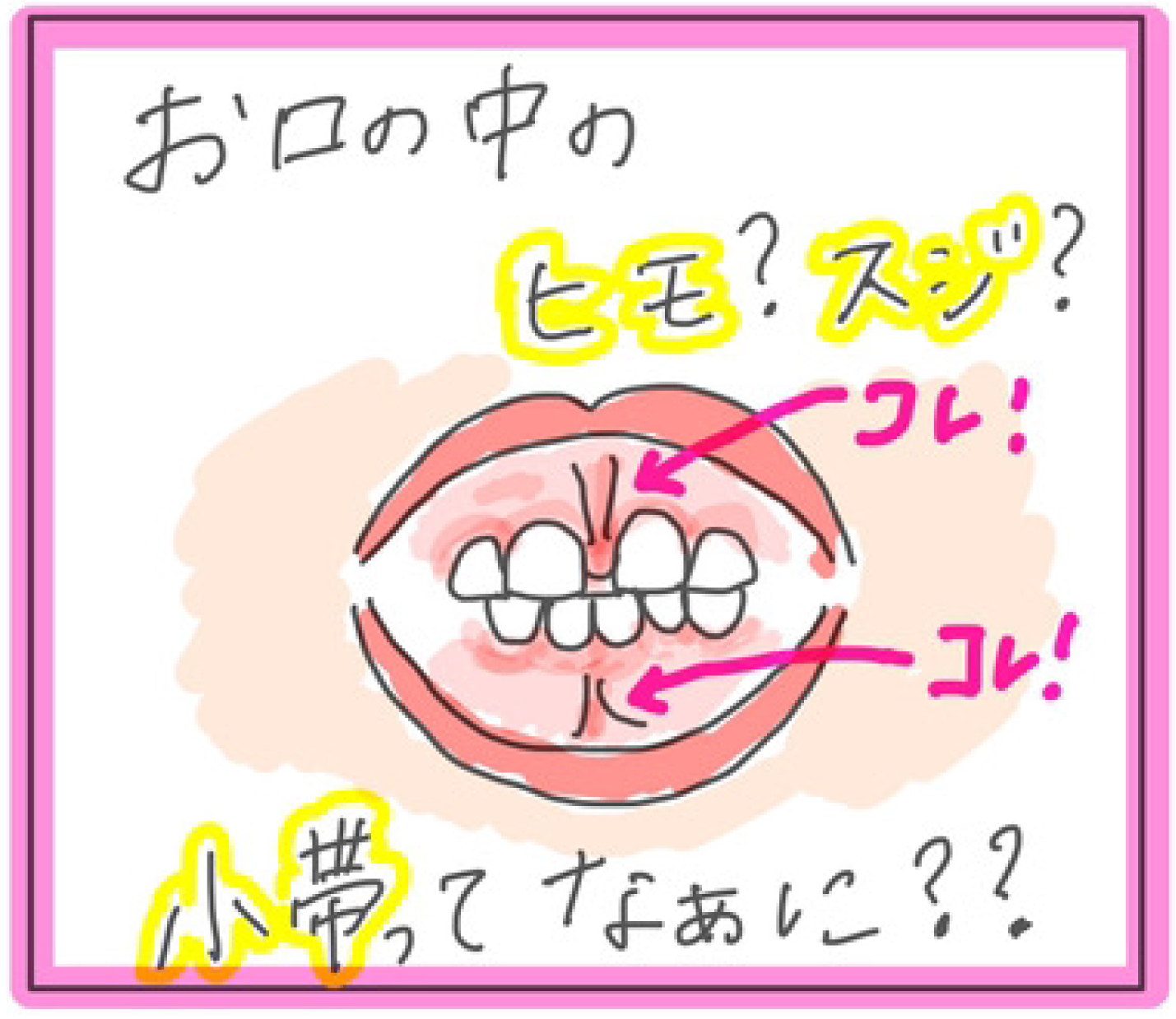 上唇 小 帯